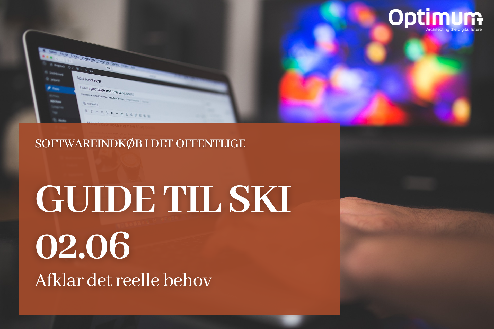 Guide til SKI 02.06 - Behovsafklaring