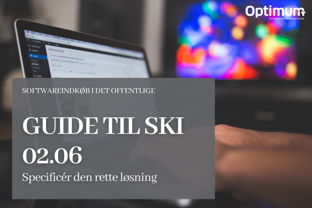 Guide til SKI 02.06 - Løsningsspecifikation