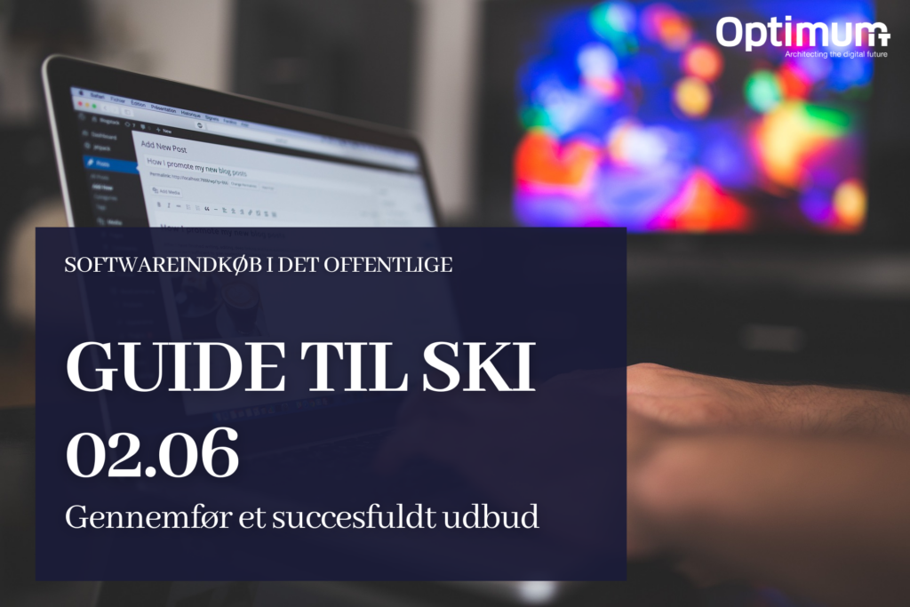 Guide til SKI 02.06 - Udbuddet