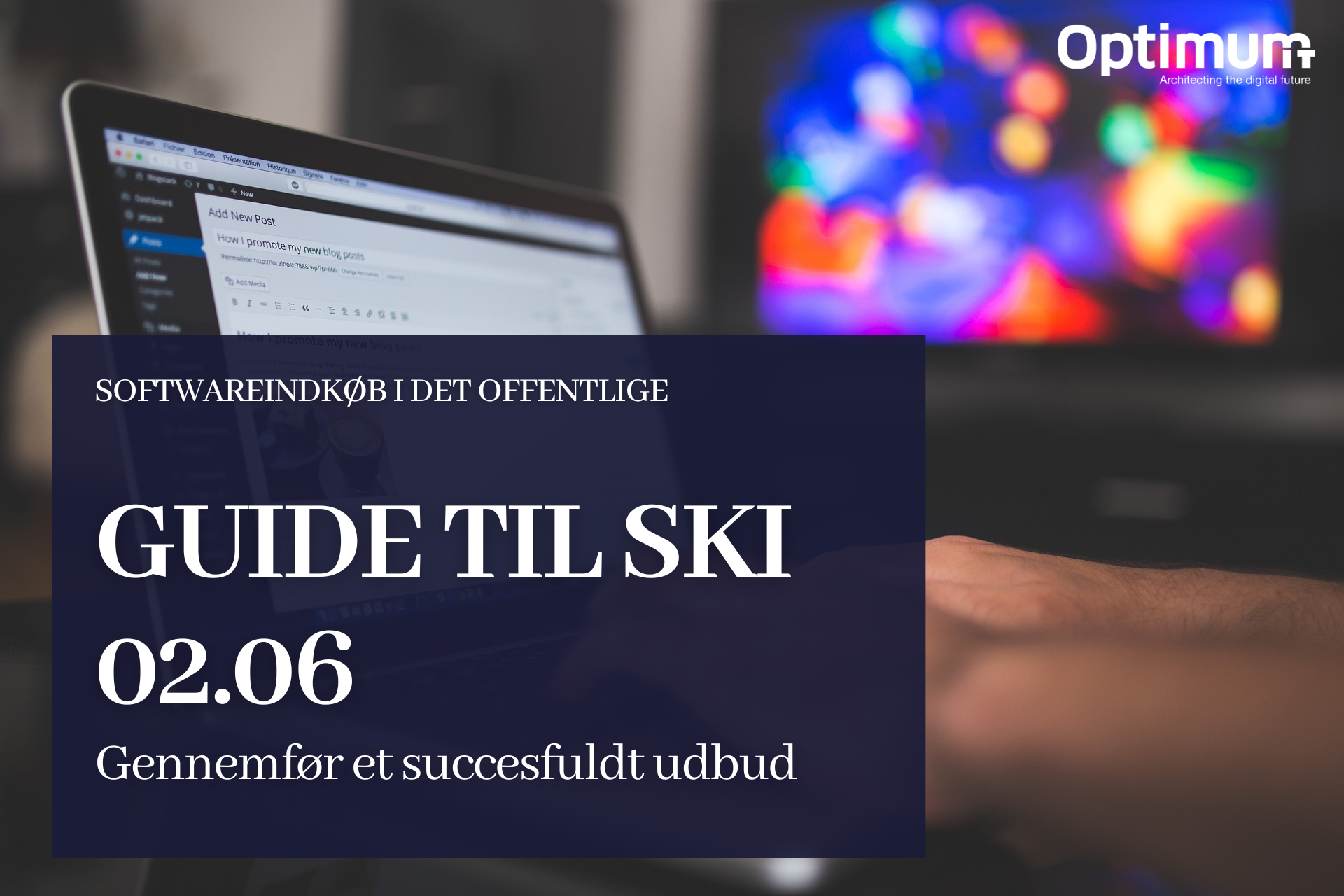 Guide til SKI 02.06 - Udbuddet